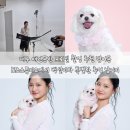 범어역 4번 출구 뒤(1번 출구 뒤) | 대구 애견동반 프로필 촬영 추천 범어동 포즈스튜디오에서 백설이와 특별한 추억 남기기