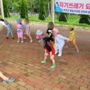 솔밭어린이집 이미지