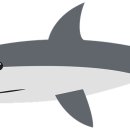 상어 이미지