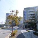 어진동_문화체육관광부 이미지