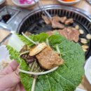 호방가든 이미지