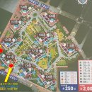 펫밀리샵 이미지