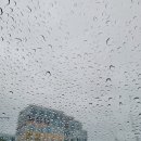 대한민국의 참교육은 인성에서부터 비롯됩니다. 부모님이 모범이되어 사랑하는 자녀분과 함께 따뜻한...