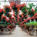 평안꽃식물원 이미지