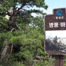 용봉초교 이미지