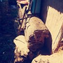 주성주유소 이미지