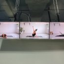 코코피트니스 이미지