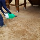 옥전초등학교 병설유치원 이미지