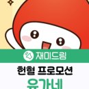 유가네닭갈비 이미지