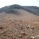 수림자원 이미지