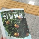 아마스빈이천 | 여름 일상