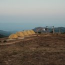 YELLOW HILL 티스토리