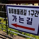 월류식당 | 달도 머물다 간다는 월류봉 둘레길 후기