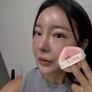 [엘제이와이비] 뚱방울퍼프 세트 솔직 사용 후기