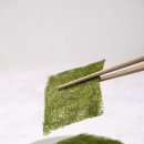 가시 살이 이미지