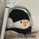 (주)메덱스 | 올영세일 맞이 올리브영 내돈내산 추천템_기초템