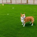 더블루네스 이미지