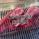 일미양꼬치 - 여주시 세종로79번길 11 | 장유 율하 맛집, 일미양꼬치 양갈비세트 후기