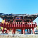 사창6리 | 영월부 관아(영월 자규루 및 관풍헌) (2020.10.24)