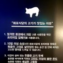 화포식당 시청점