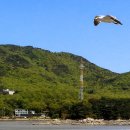 보문사 이미지