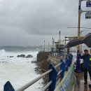 동해시-17 이미지