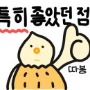 제주노을보리 이미지
