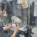 삼양 동물병원 이미지