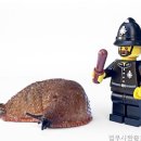 법무사한충호사무소