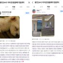 오동물병원 - 수원시 영통구 산남로90번길 23 | 오동물병원