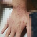 (유)심신통합면역연구소 | 시중 자연 치유법의 허와 실, 완정법의 차이점은?