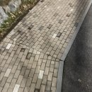 장현약국 | 빵꾸똥꾸문구야 시흥장현점 후기