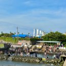 샛도리물 | 제주 동쪽 물놀이 장소 추천 삼양해수욕장 &amp; 샛도리물