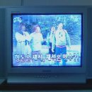 삼성21인치 완전평면TV 리모컨포함 6만5천원 이미지