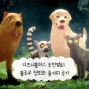 플로우플러스 | 디즈니플러스 추천영화 플로우 정보와 줄거리 후기