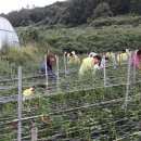 명상농장 이미지