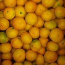 종철농장 이미지