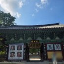 대초 | [전북 부안 여행] 가을이 머무는 천년고찰, 변산반도 내소사 방문 후기 (ft. 더 엘린)