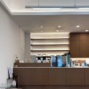 토브마켓 | 일산 애견동반 신상카페 토브카페 솔직후기｜강아지랑 가기 좋은 곳