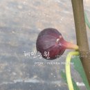 혜민농장 이미지