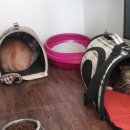 호텔마리 이미지