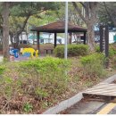 110호어린이공원 이미지