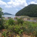 뽑기 좋은날 이미지