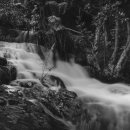 부천한방병원 이미지