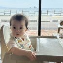 [제주 여행]희망인지 절망인지🐥 -2일차