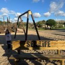 달리는피자아저씨장유점 | 포르투 여행에서 수족관 방문 후기 (SEA LIFE, 500번 버스)