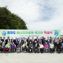 효자도7 이미지