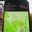 매봉산 숲속도서관 이미지