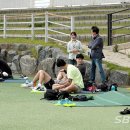 서천국민체육센터 다목적경기장 네이버블로그