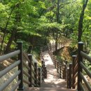 김해목재문화체험장 이미지